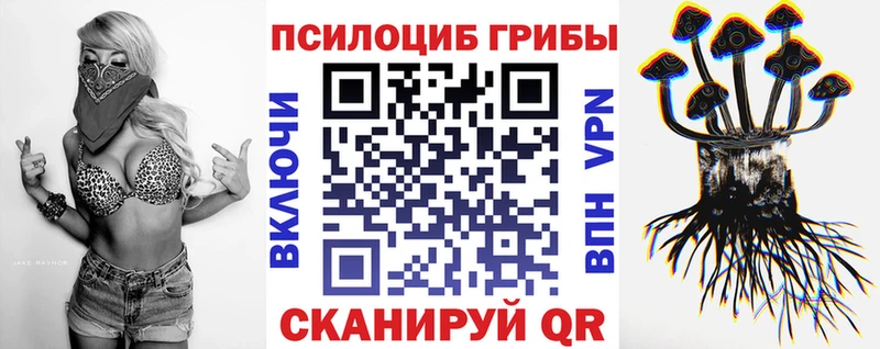 OMG вход  цена   Кингисепп  Псилоцибиновые грибы мицелий 