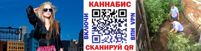 Бошки марихуана Bruce Banner  omg зеркало  Кингисепп 